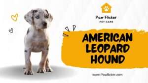 American Leopard Hound | A Comprehensive Breed Guide