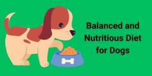 Balanced and Nutritious Diet for Dogs