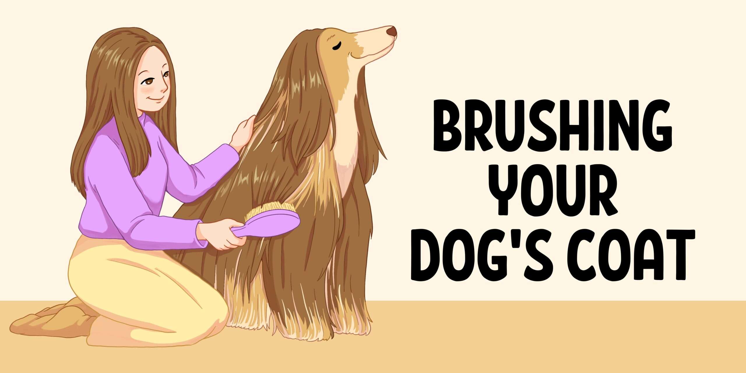 Brushing Your Dog's Coat