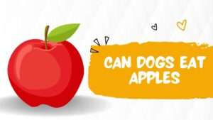 Can Dogs Eat Apples