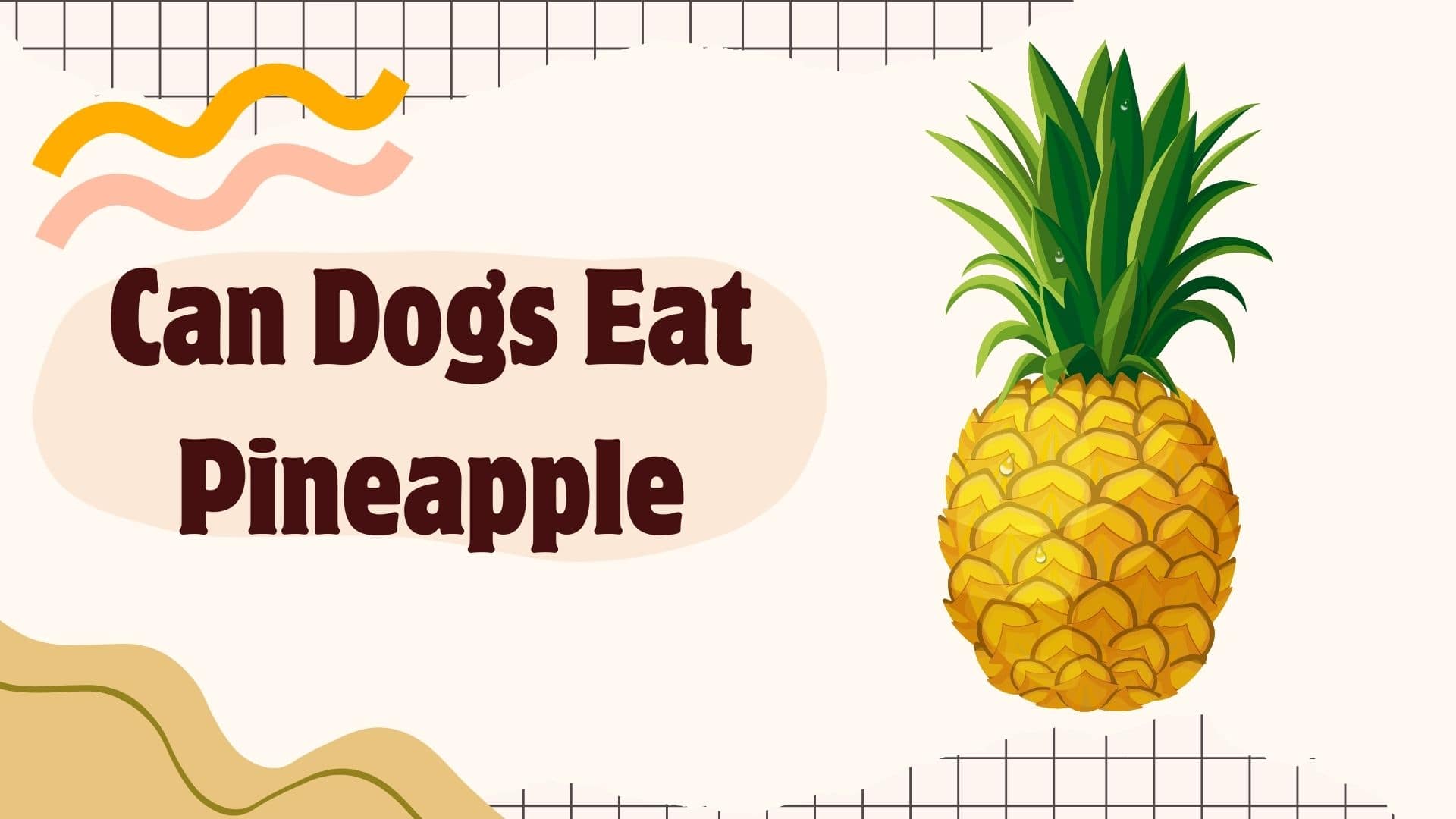 Can Dogs Eat Pineapple