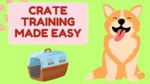 Crate Training Made Easy | Your Ultimate Guide to Success