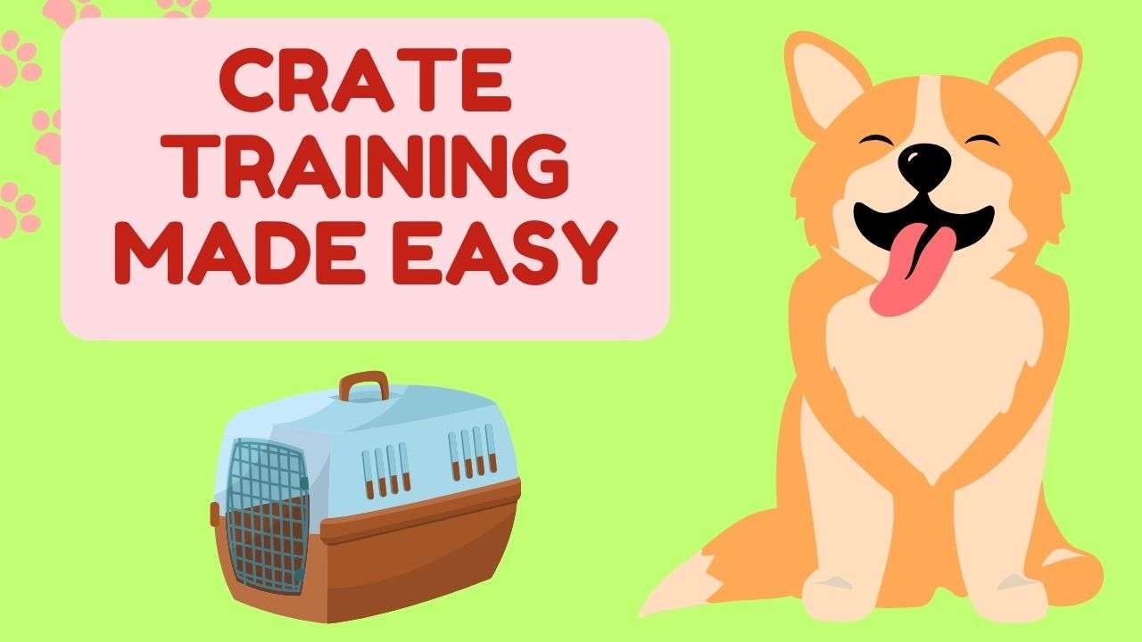 Crate Training Made Easy