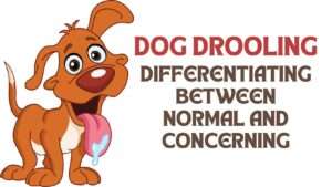 Dog Drooling | Differentiating Between Normal and Concerning