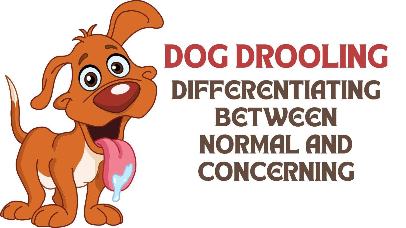 Dog Drooling | Differentiating Between Normal and Concerning