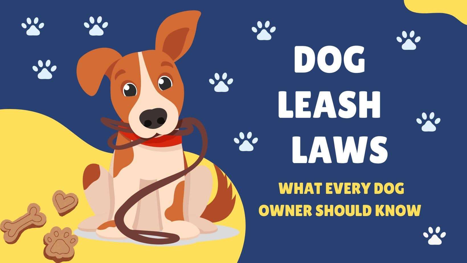 Dog Leash Laws | What Every Dog Owner Should Know