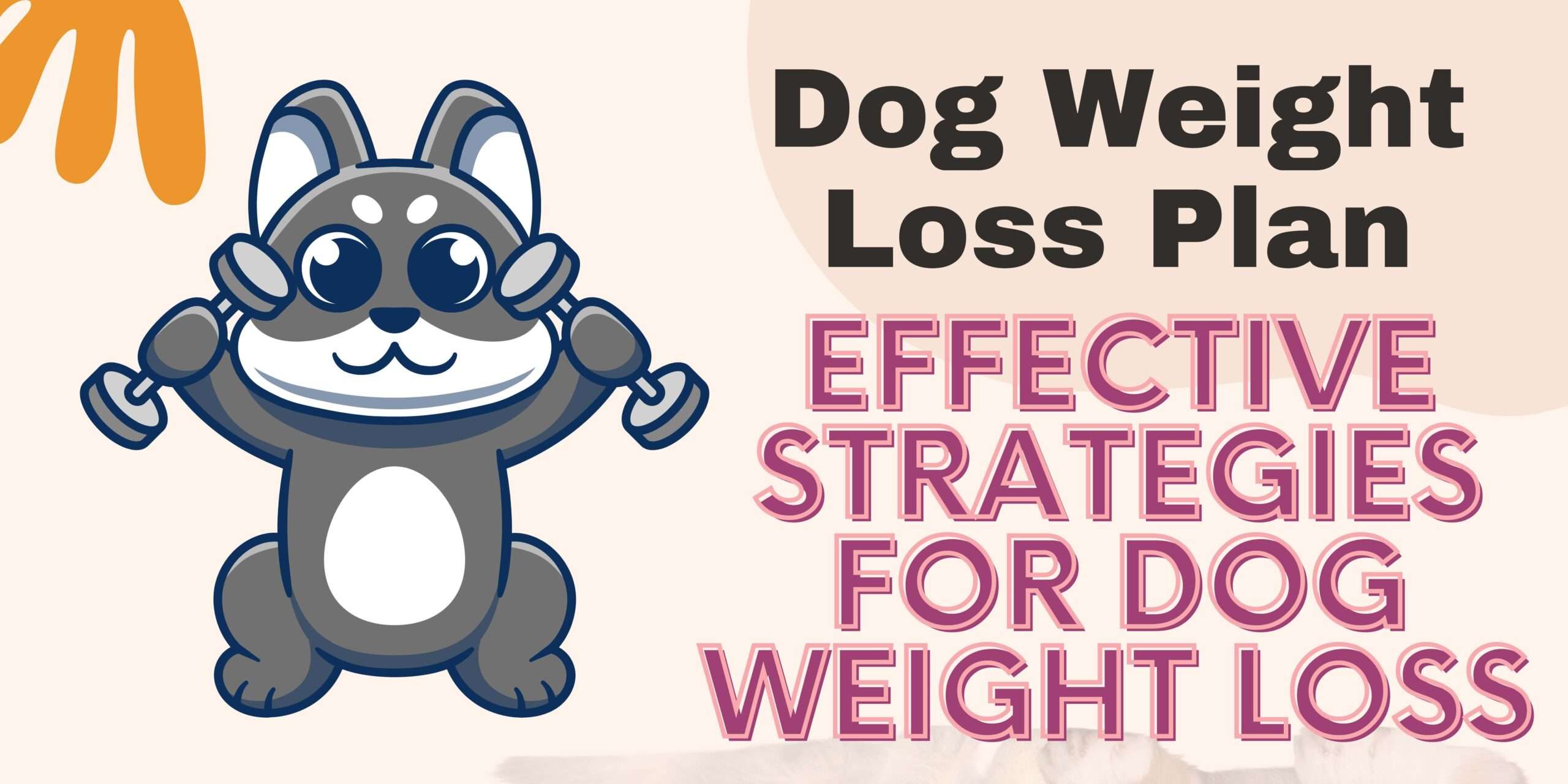 Dog Weight Loss Plan | Effective Strategies for Dog Weight Loss