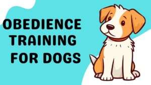 Obedience Training for Dogs | Unleash Your Dog’s Potential