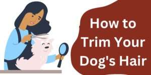 How to Trim Your Dog’s Hair | Essential Tips and Techniques