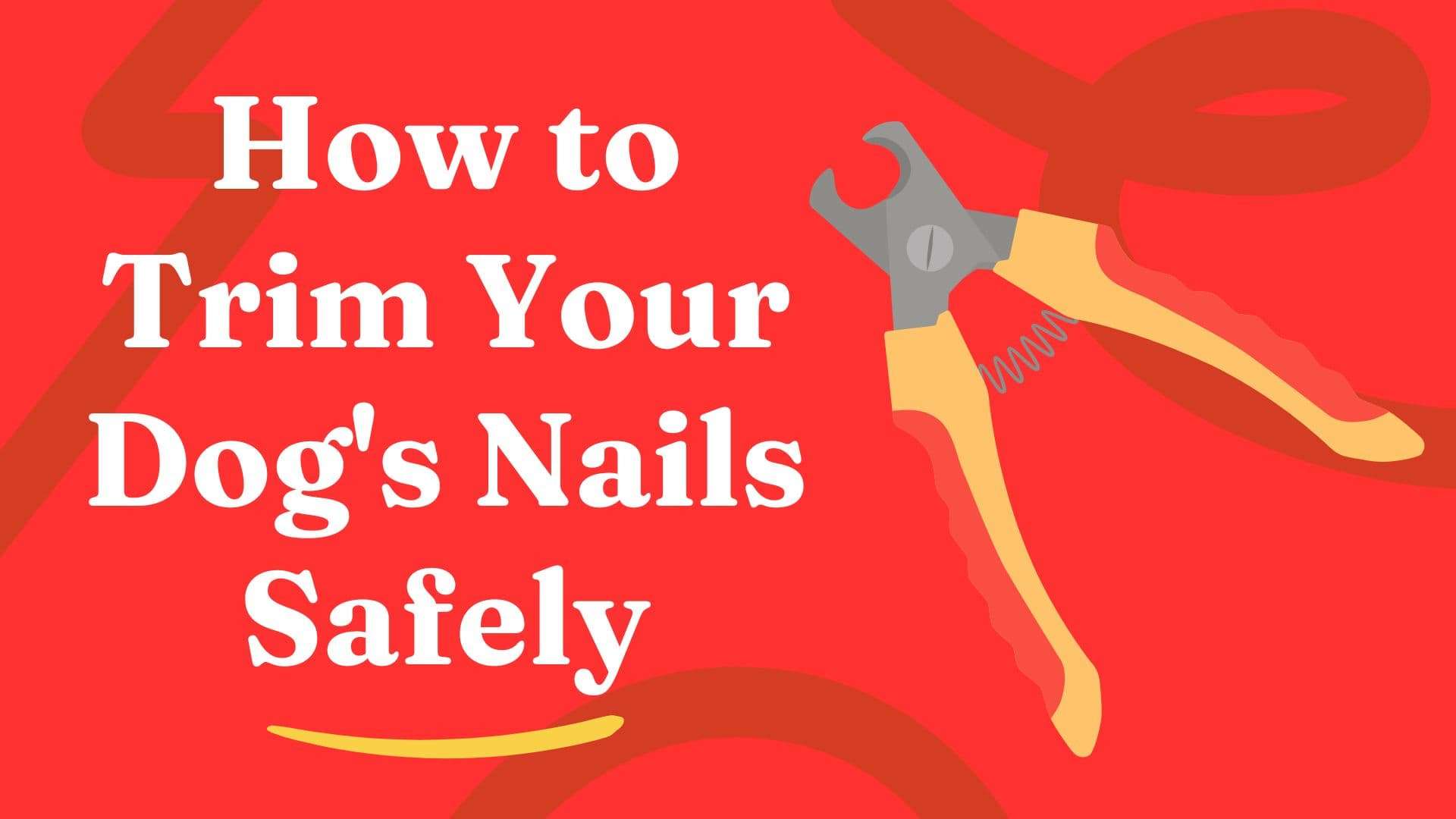 How to Trim Your Dog's Nails Safely