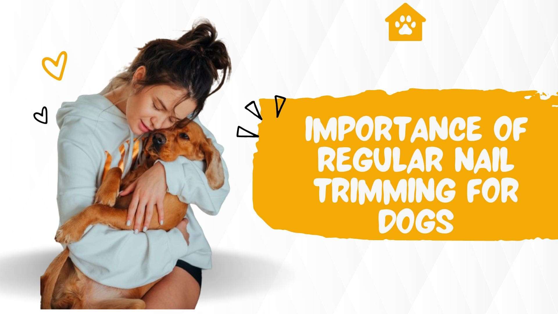 Importance of Regular Nail Trimming for Dogs