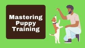 Mastering Puppy Training | Essential Techniques