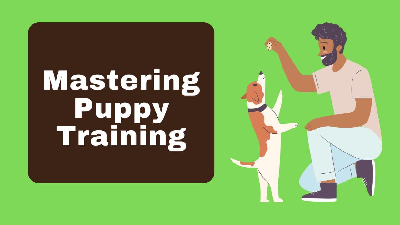 Mastering Puppy Training