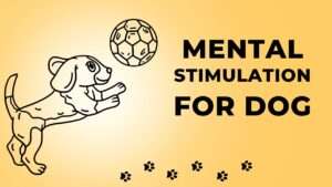 Mental Stimulation for Dogs | Unlocking Your Dog’s Potential