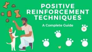 Positive Reinforcement Techniques | The Key to Train Your Dog