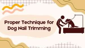 Proper Technique for Dog Nail Trimming