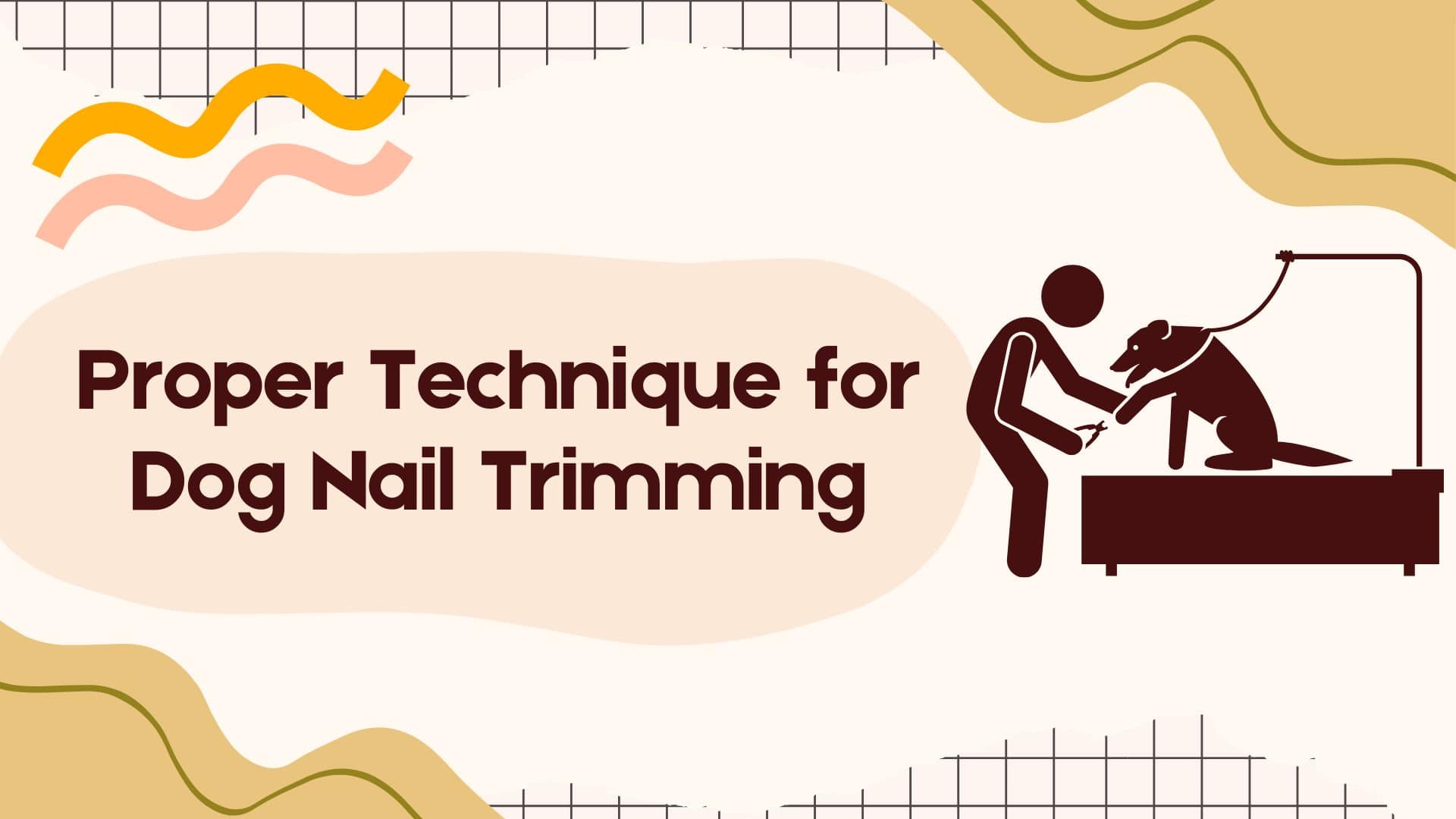 Proper Technique for Dog Nail Trimming