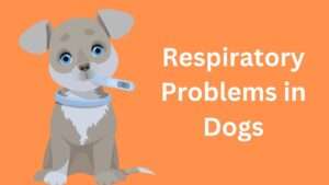 Respiratory Problems in Dogs | A Comprehensive Guide