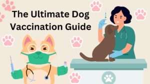 The Ultimate Dog Vaccination Guide | All You Needs to Know