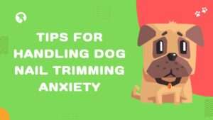 Tips for Handling Dog Nail Trimming Anxiety