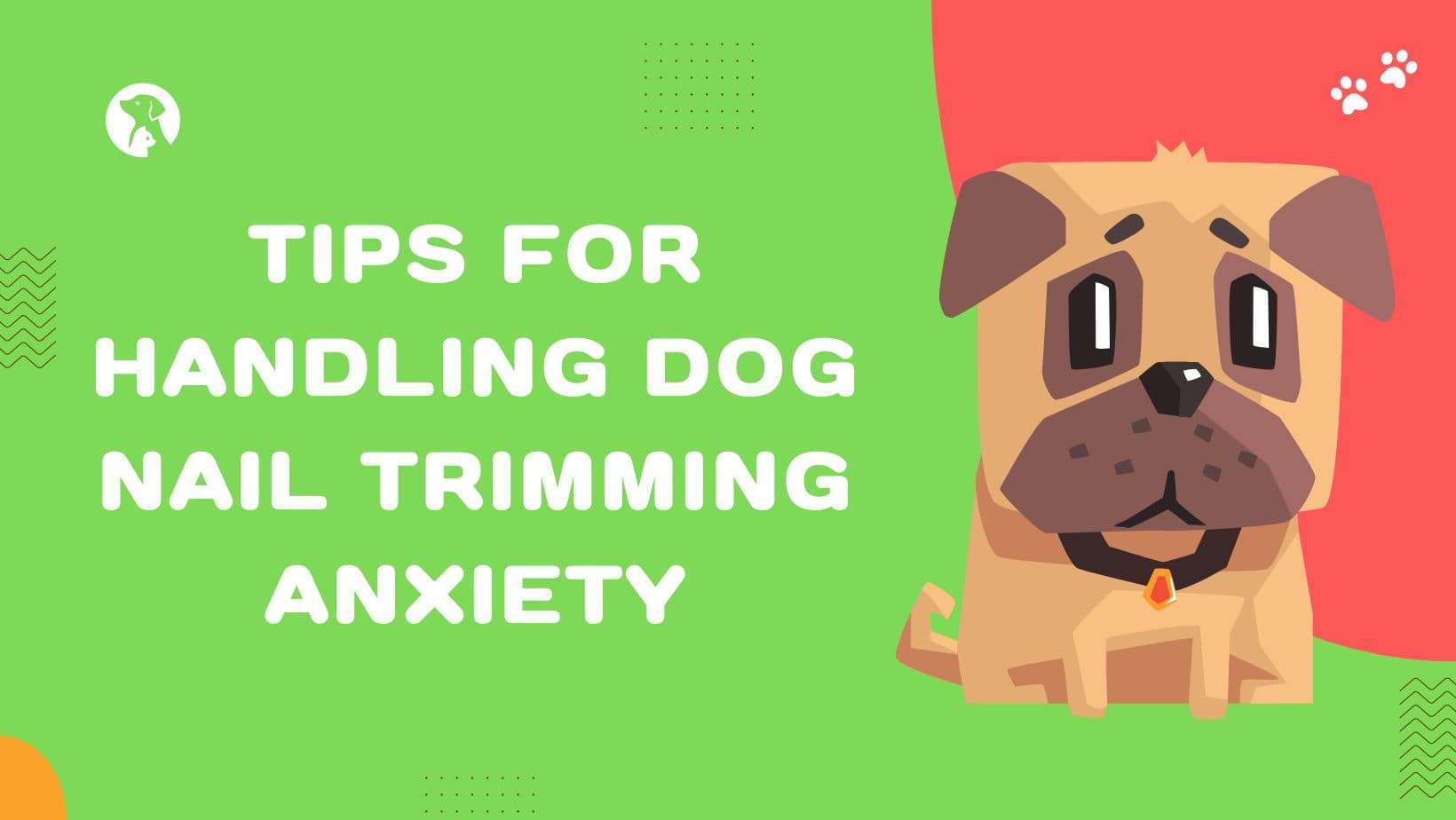 Tips for Handling Dog Nail Trimming Anxiety