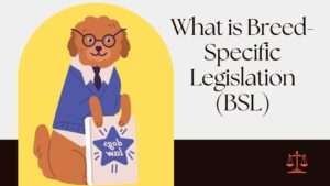 What is Breed-Specific Legislation (BSL)