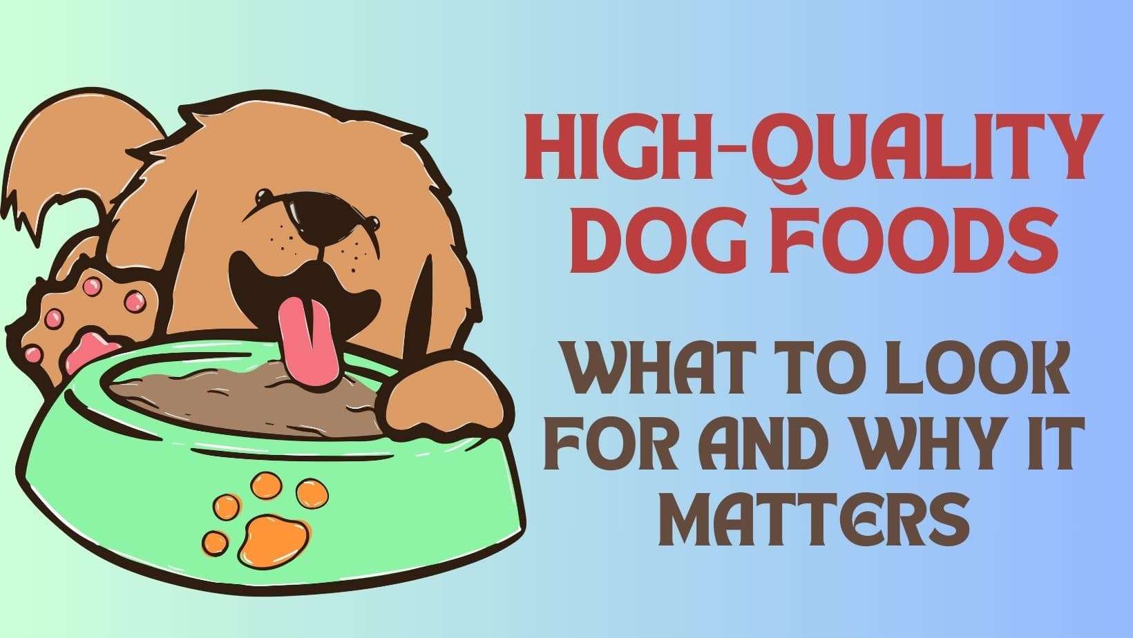 High-Quality Dog Foods | What to Look for and Why It Matters