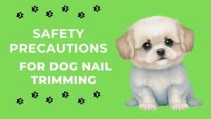 Safety Precautions for Dog Nail Trimming