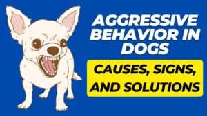 Aggressive Behavior in Dogs: Causes, Signs, and Solutions