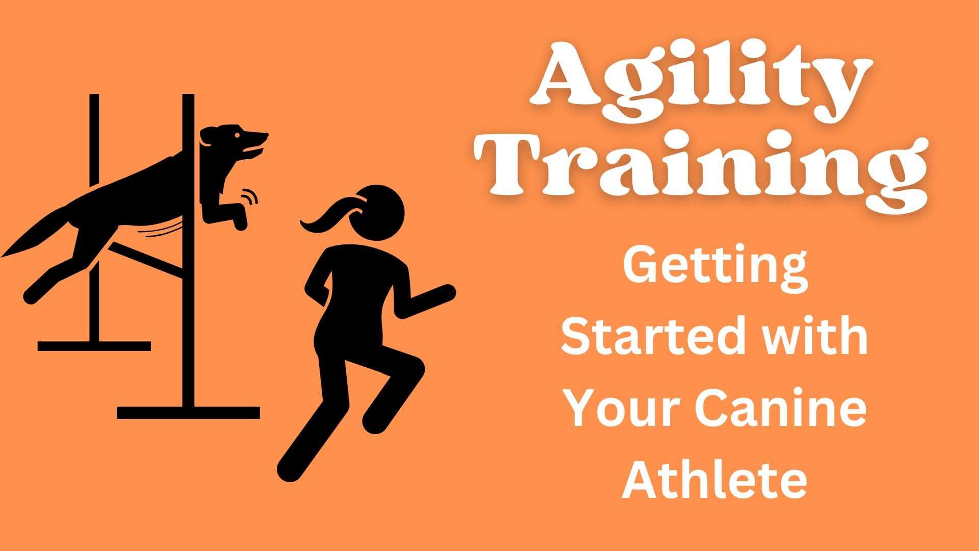 Agility Training