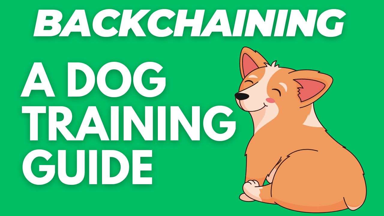 Backchaining: A Dog Training Guide