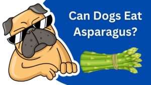 Can Dogs Eat Asparagus?