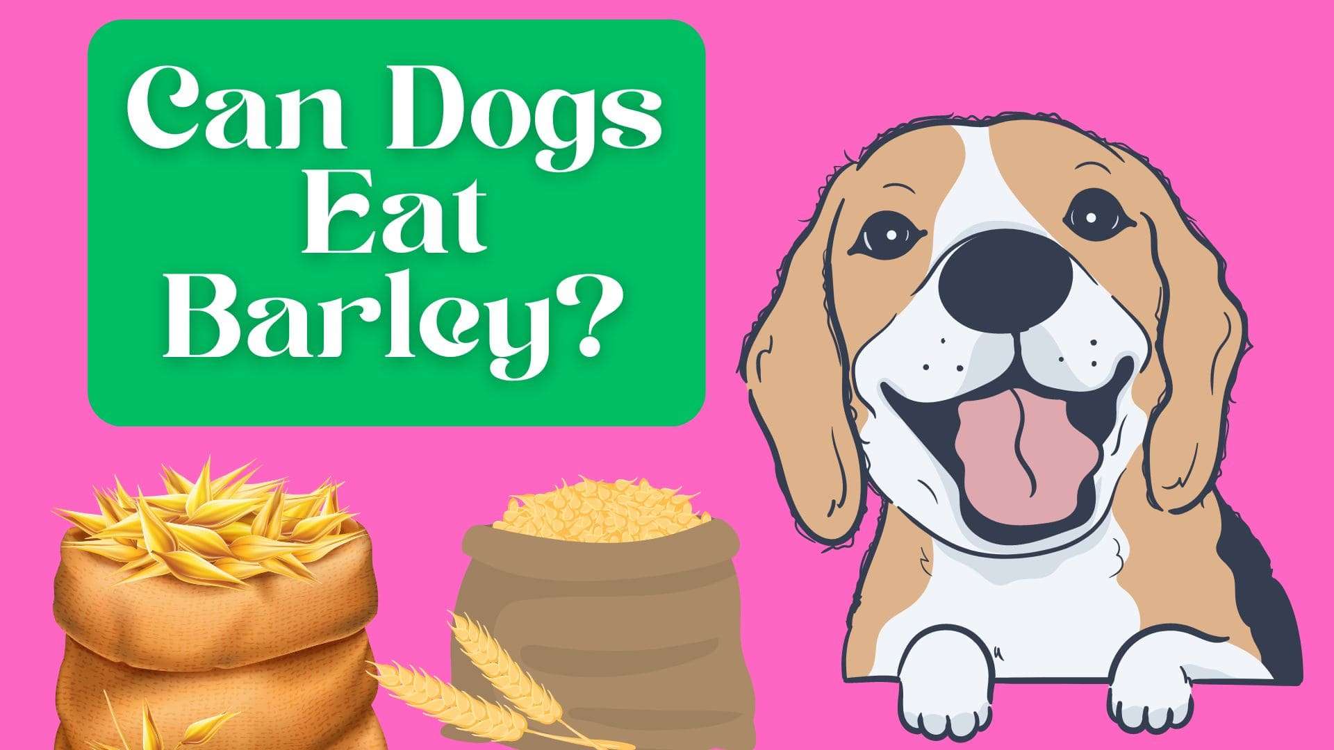 Can Dogs Eat Barley?