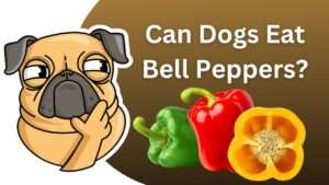 Can Dogs Eat Bell Peppers?