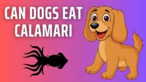 Can Dogs Eat Calamari