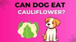 Can Dogs Eat Cauliflower?