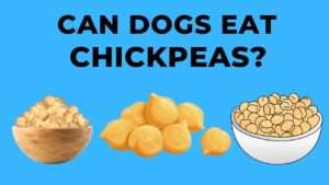 Can Dogs Eat Chickpeas?