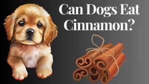 Can Dogs Eat Cinnamon?