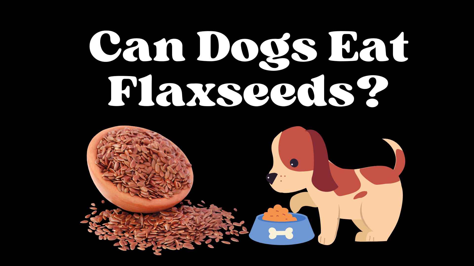 Can Dogs Eat Flaxseeds?