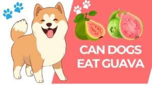 Can Dogs Eat Guava