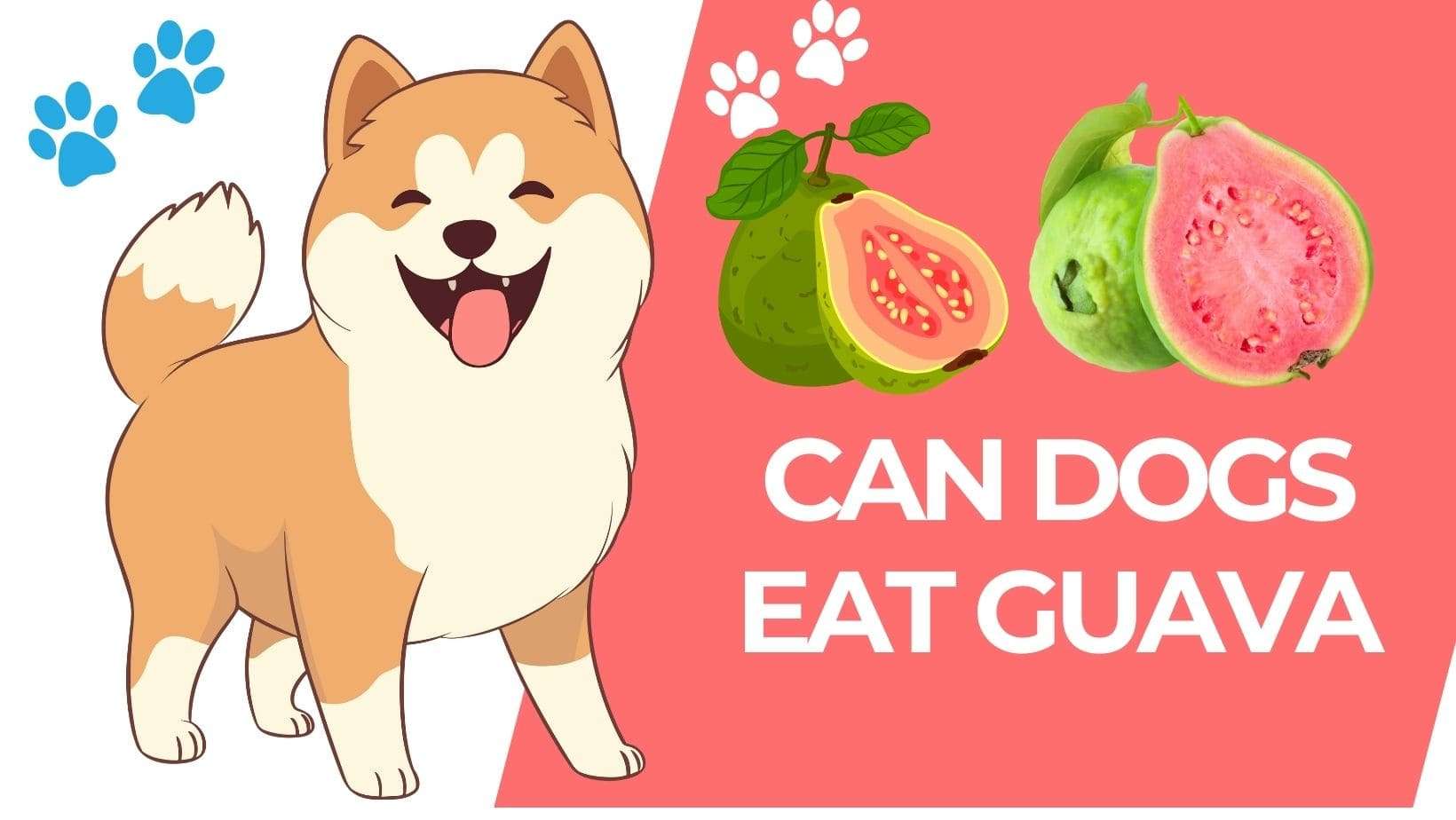 Can Dogs Eat Guava