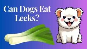 Can Dogs Eat Leeks?