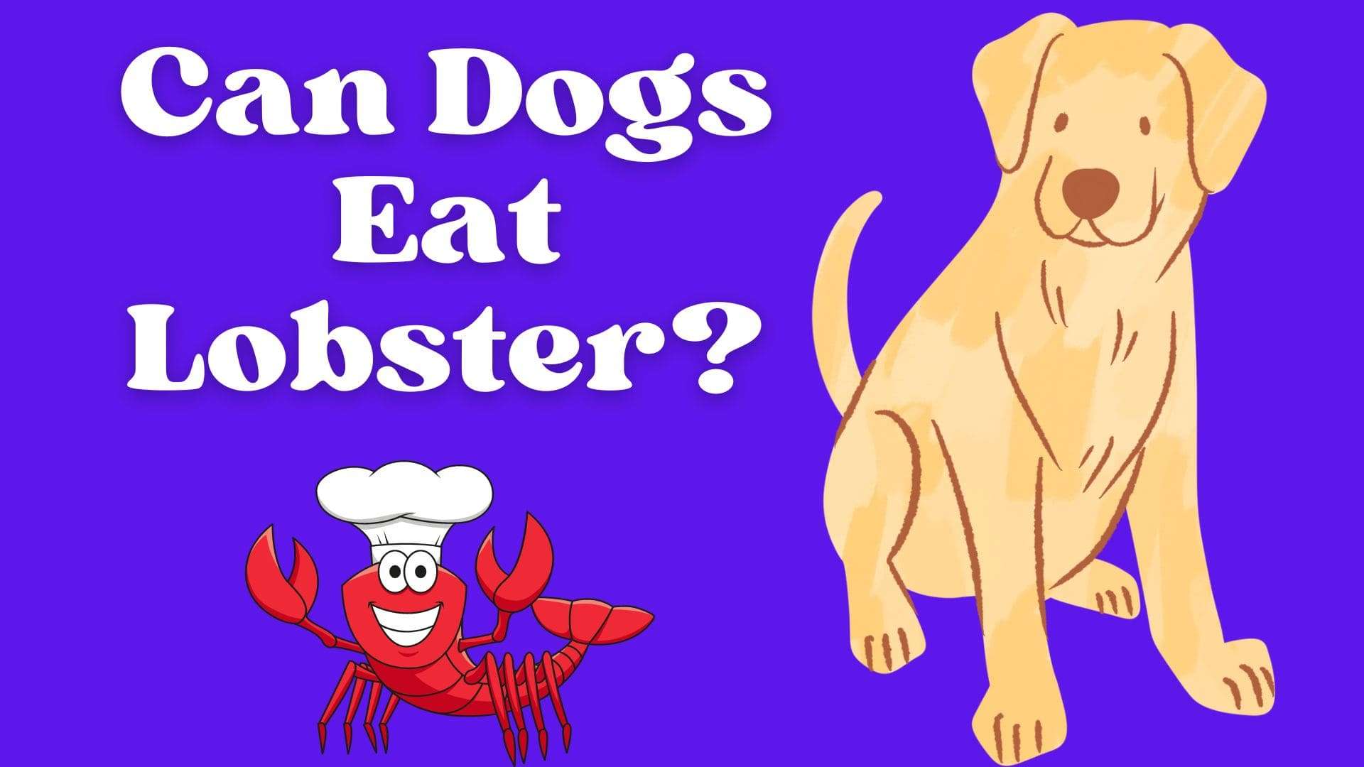 Can Dogs Eat Lobster?