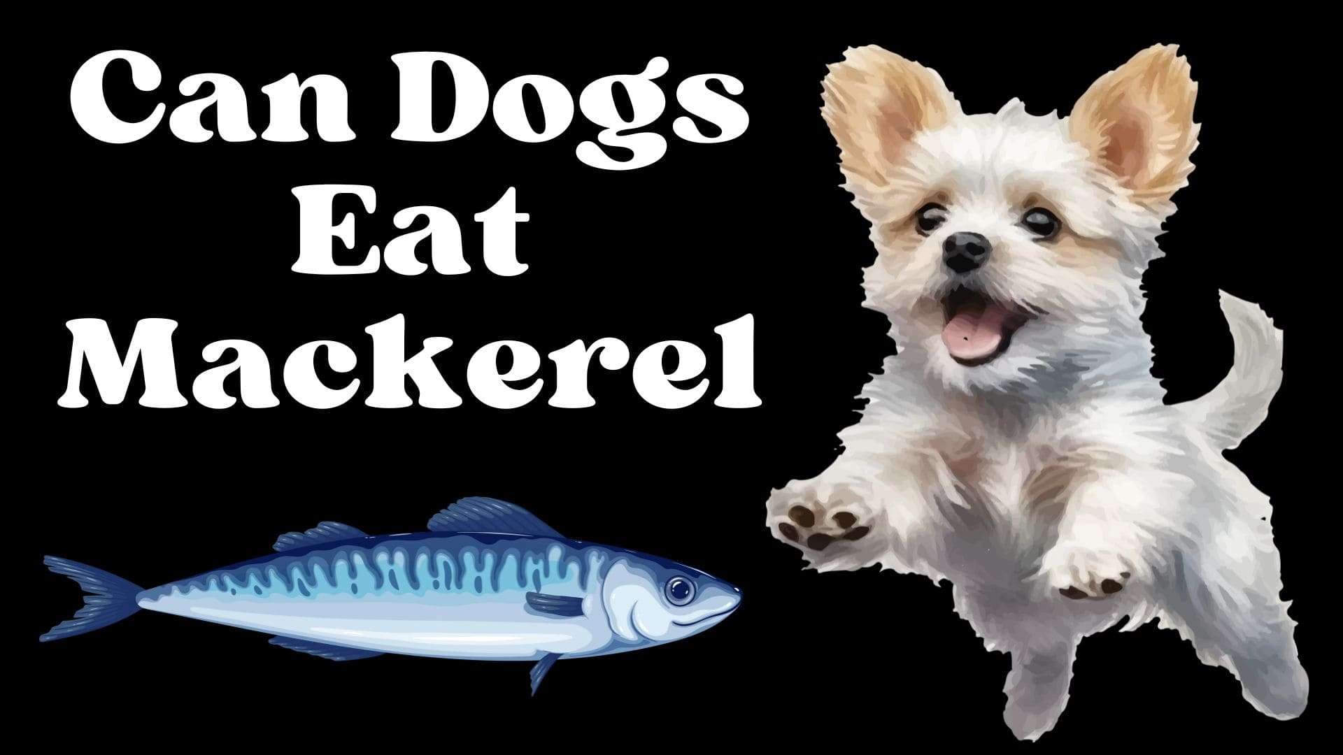 Can Dogs Eat Mackerel?