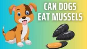 Can Dogs Eat Mussels