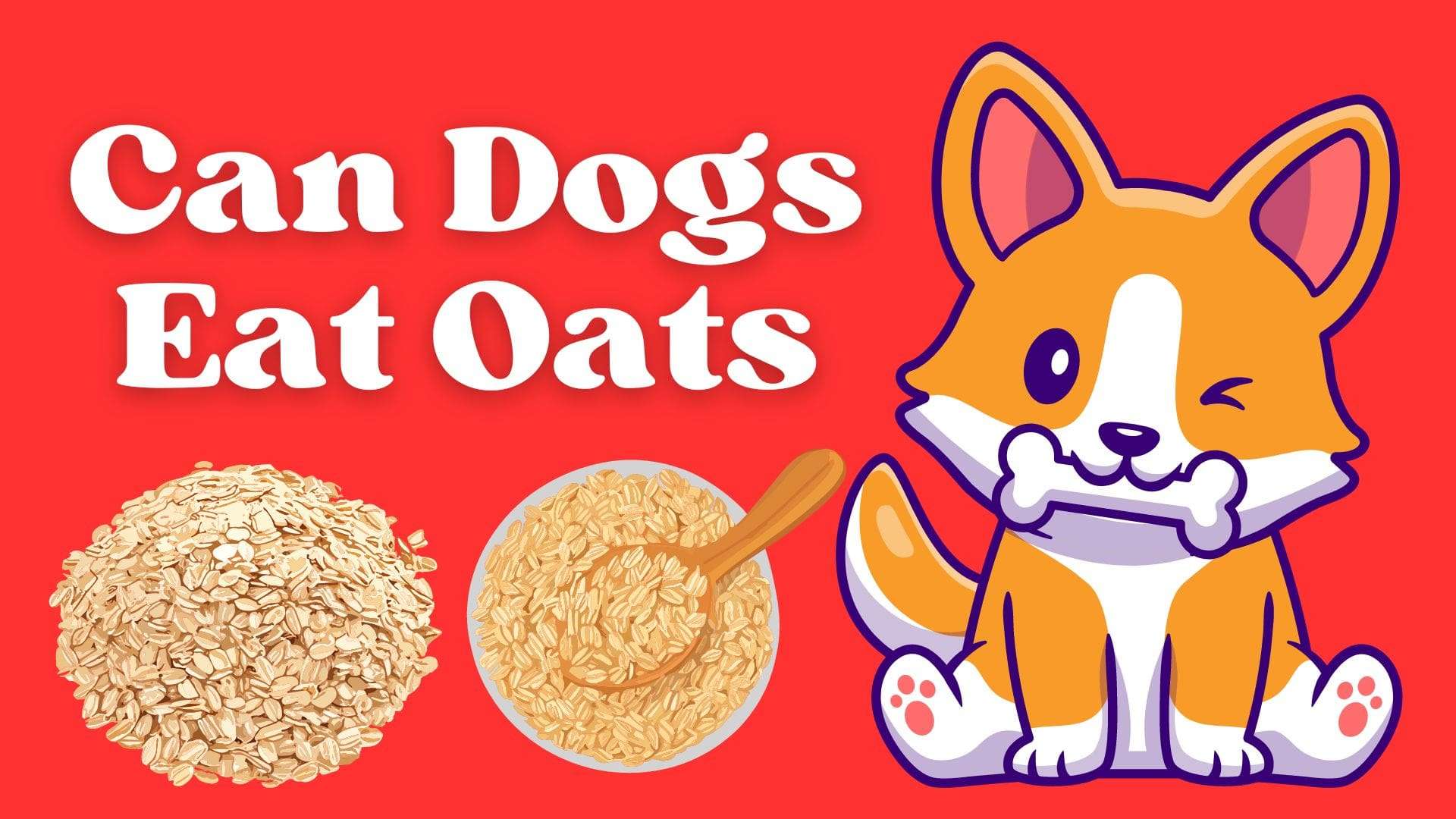 Can Dogs Eat Oats