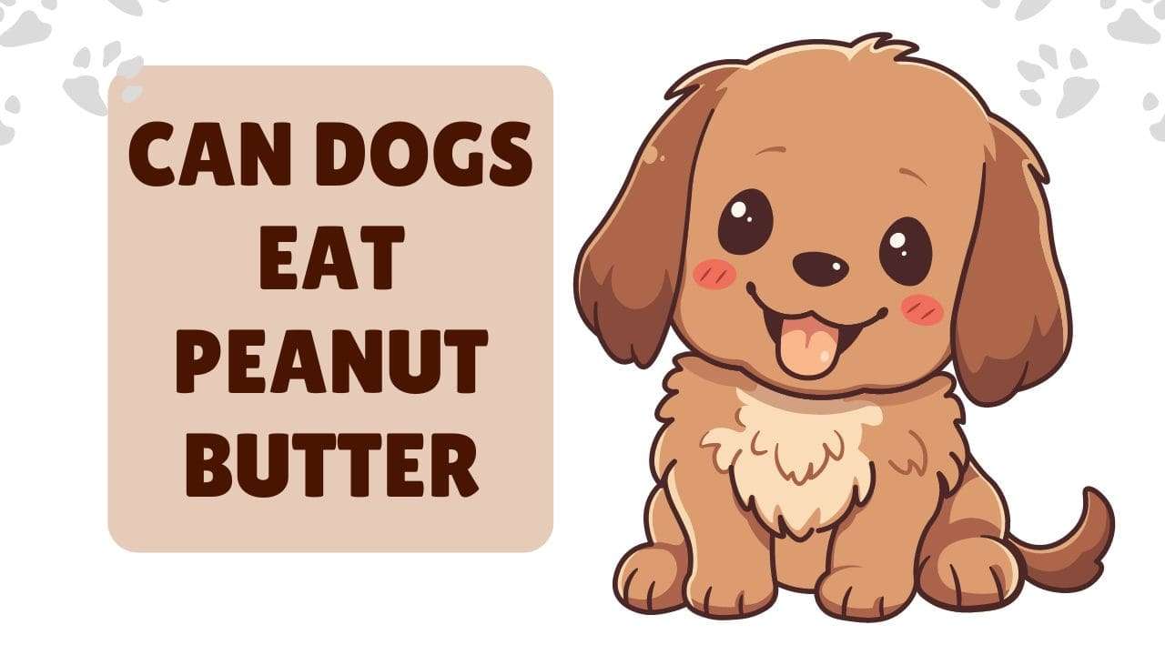 Can Dogs Eat Peanut Butter