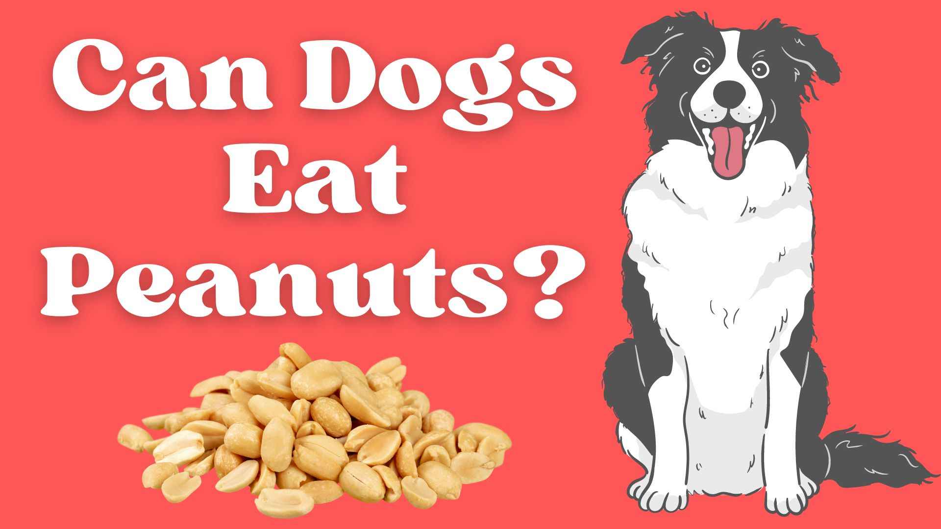 Can Dogs Eat Peanuts?