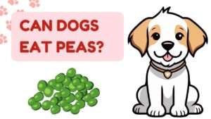 Can Dogs Eat Peas?