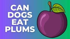 Can Dogs Eat Plums